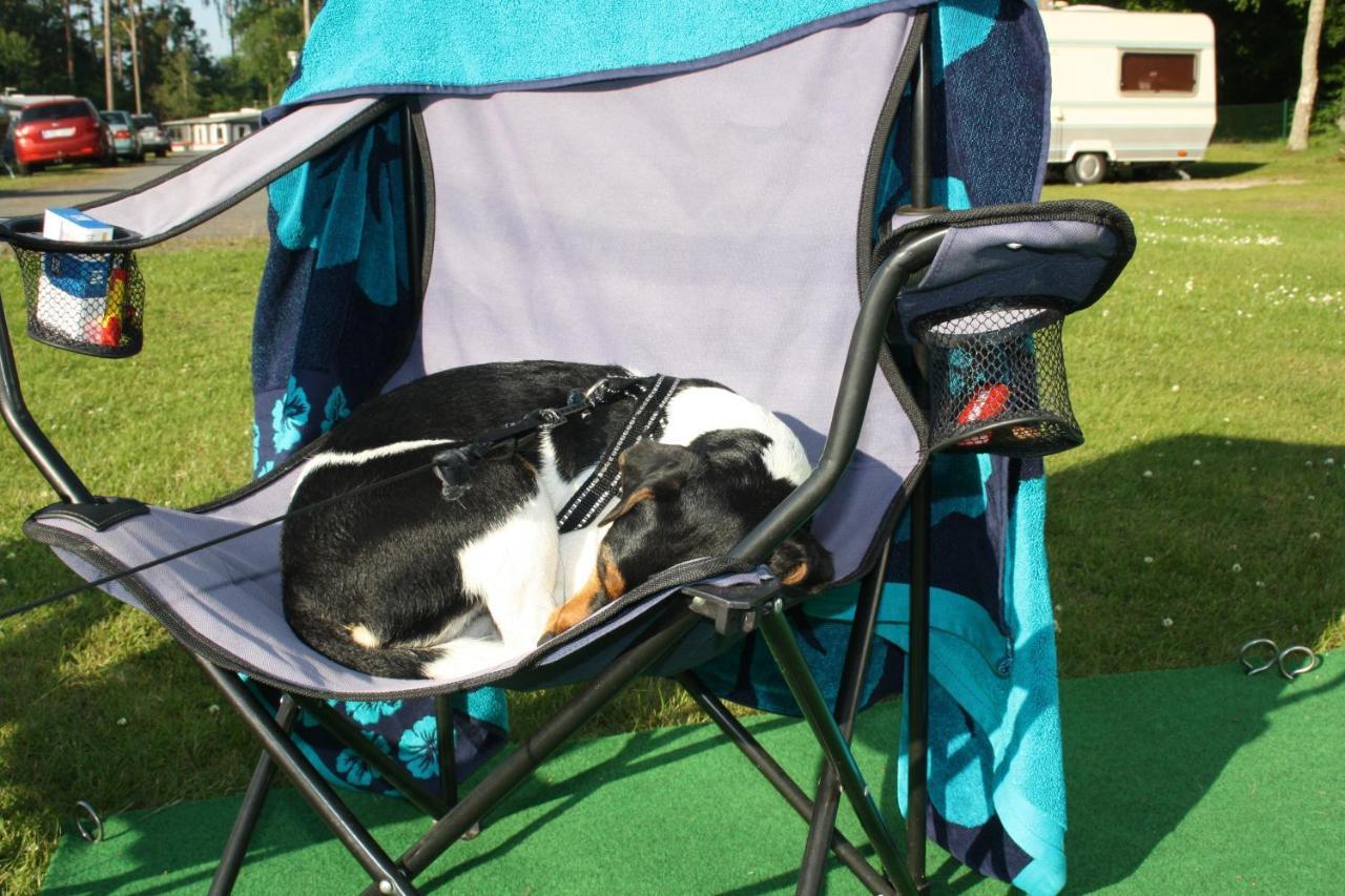 Bromoella Camping O Vandrarhem エクステリア 写真